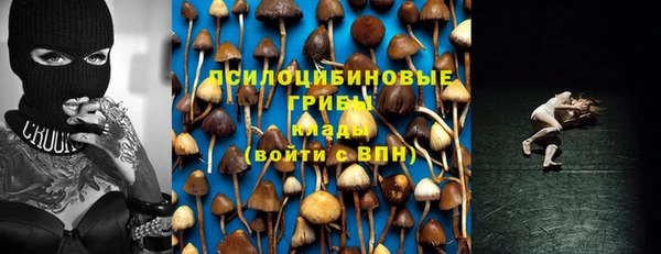 индика Аксай