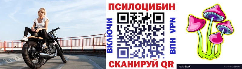 купить наркотики сайты  Дудинка  Псилоцибиновые грибы мицелий 